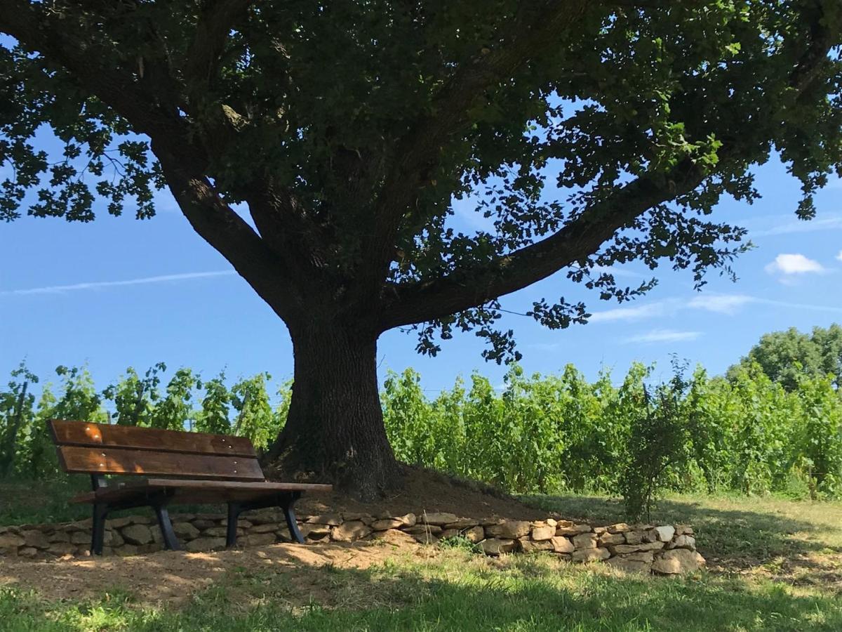 Le Domaine De Gorneton Bed & Breakfast Chasse-sur-Rhône Dış mekan fotoğraf