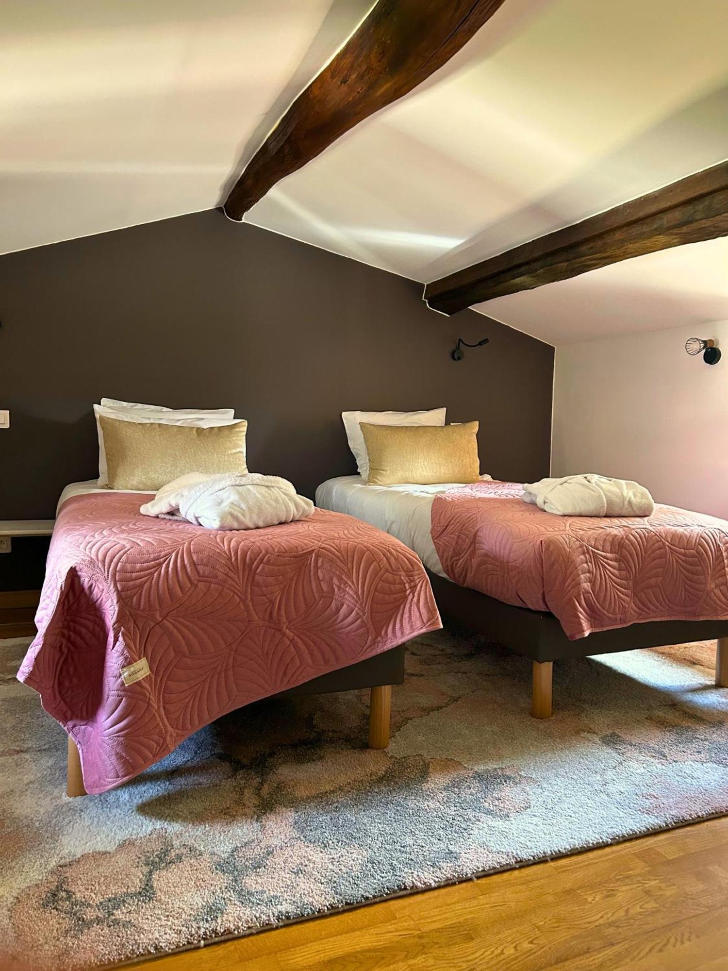 Le Domaine De Gorneton Bed & Breakfast Chasse-sur-Rhône Dış mekan fotoğraf